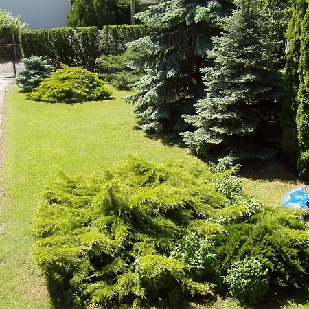 Simon Apartmanhaz * Zamardi